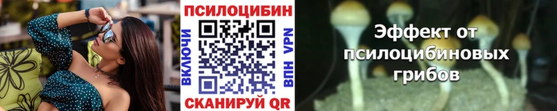 Псилоцибиновые грибы Magic Shrooms  Купить закладки  Пролетарск 